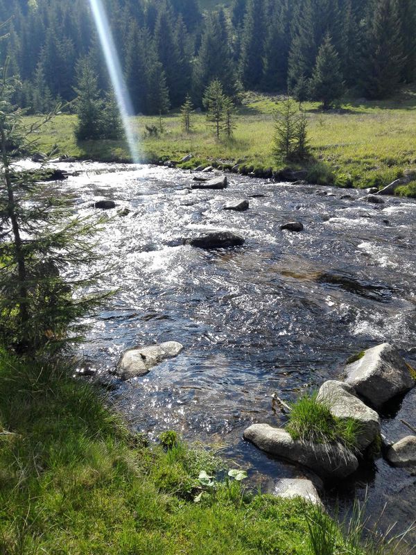 Maguri - Steaua - Blajoaia - Smesul Rece