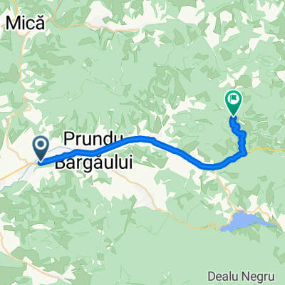 Tura de seara pa valea Radaloaia (Lăzăroaia)
