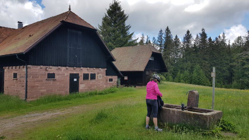 Zum Hohlohturm auf 990m
