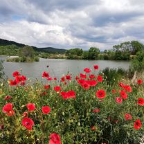 Husasău de Criș-Oradea