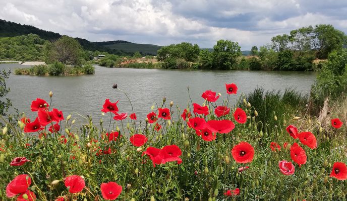 Foto 1 der Bikemap-Route "Husasău de Criș-Oradea"