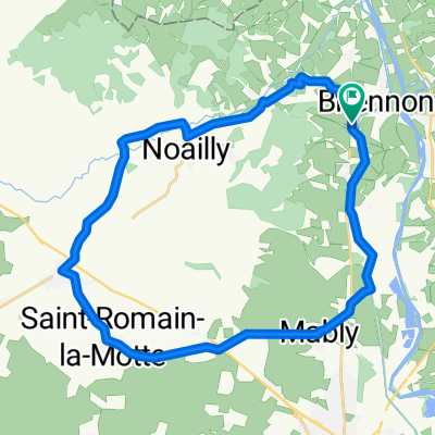 De 89 Route de Roanne, Briennon à 89 Route de Roanne, Briennon
