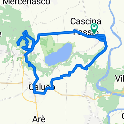 Steady ride in Vische