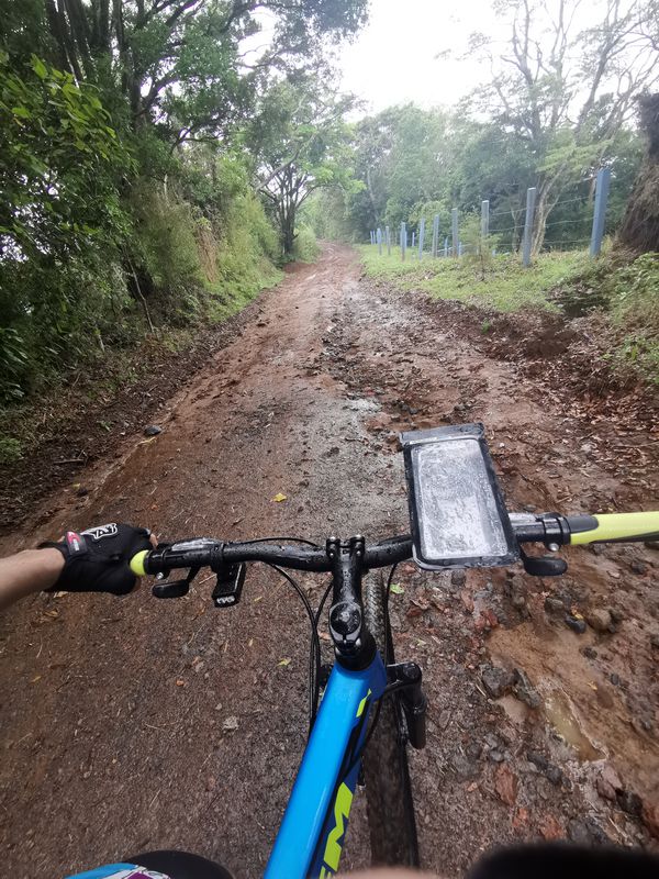 Avenida Central, Alajuela to 126