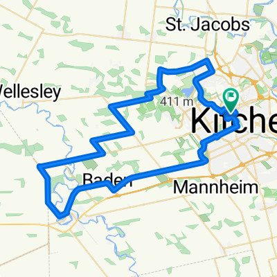 65.5 kms - Baby Mouse Loop