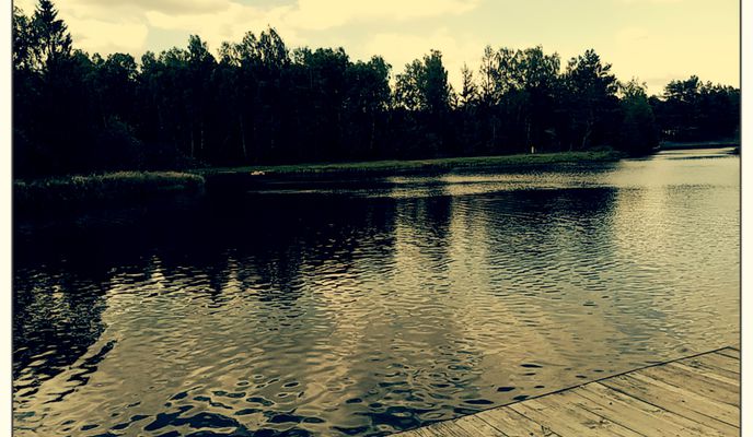 Foto 1 der Bikemap-Route "Ruda do Zygmuntowska 2B, Mielec" Foto 1 der Bikemap-Route "Ruda do Zygmuntowska 2B, Mielec"