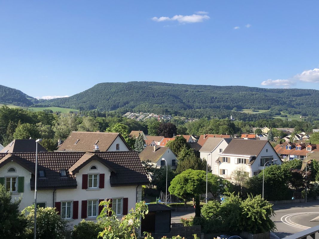 Aarau Downhill Trail