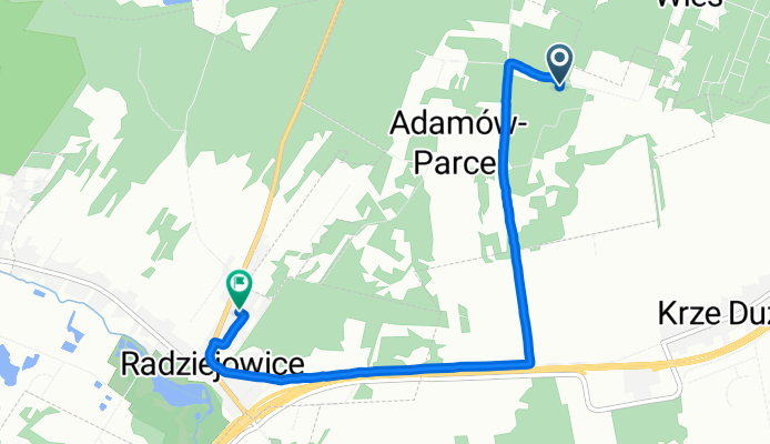 Powolna trasa w Radziejowice
