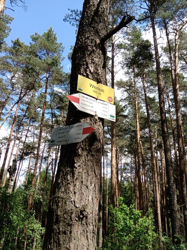 Lubin -Góra Wenus Juszowice