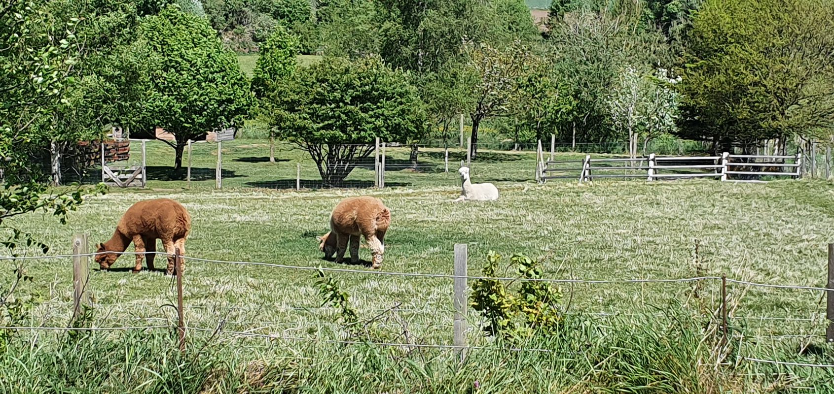 Home to Grewars Farm to Home