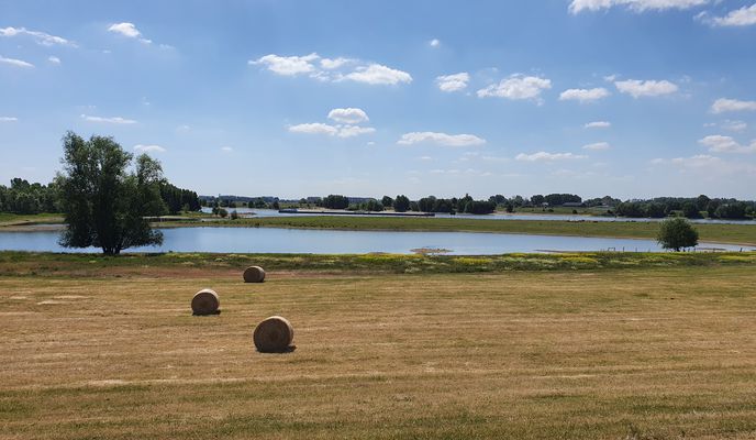 Foto 1 del percorso Bikemap "Rundweg Wesel - Rees - Xanten" Foto 1 del percorso Bikemap "Rundweg Wesel - Rees - Xanten"