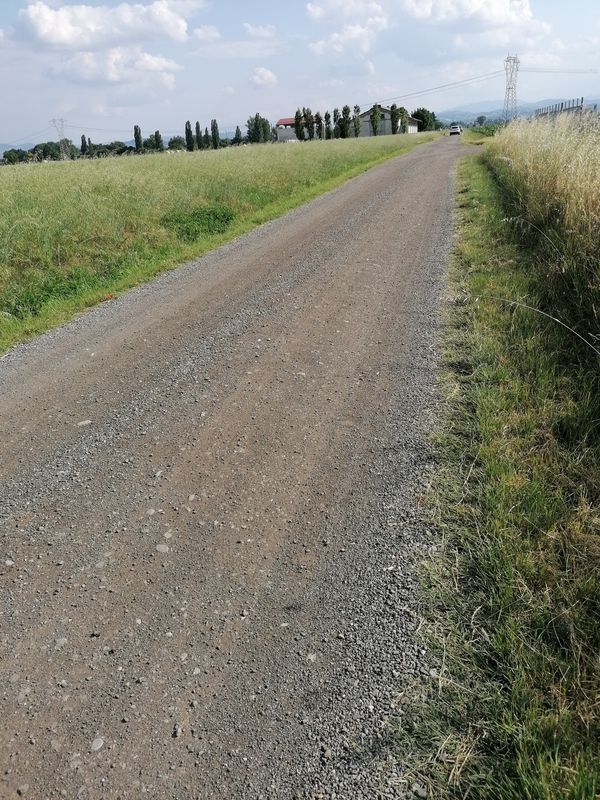 Da Via Ludovico Antonio Muratori 15, Parma a Via Argini Nord 1, Basilicanova
