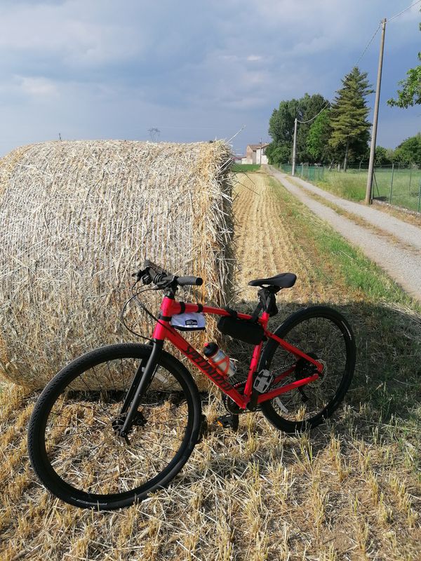 Da Via Ludovico Antonio Muratori 15, Parma a Via Argini Nord 1, Basilicanova