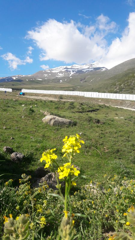 Barajlı Sokak 9 to Kayseri Develi Yolu