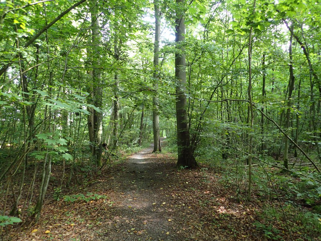 IVB2 MTB Salzweg