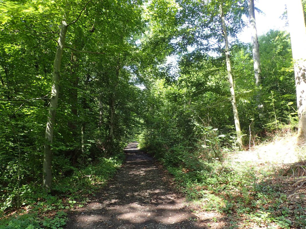 IVB2 MTB Salzweg
