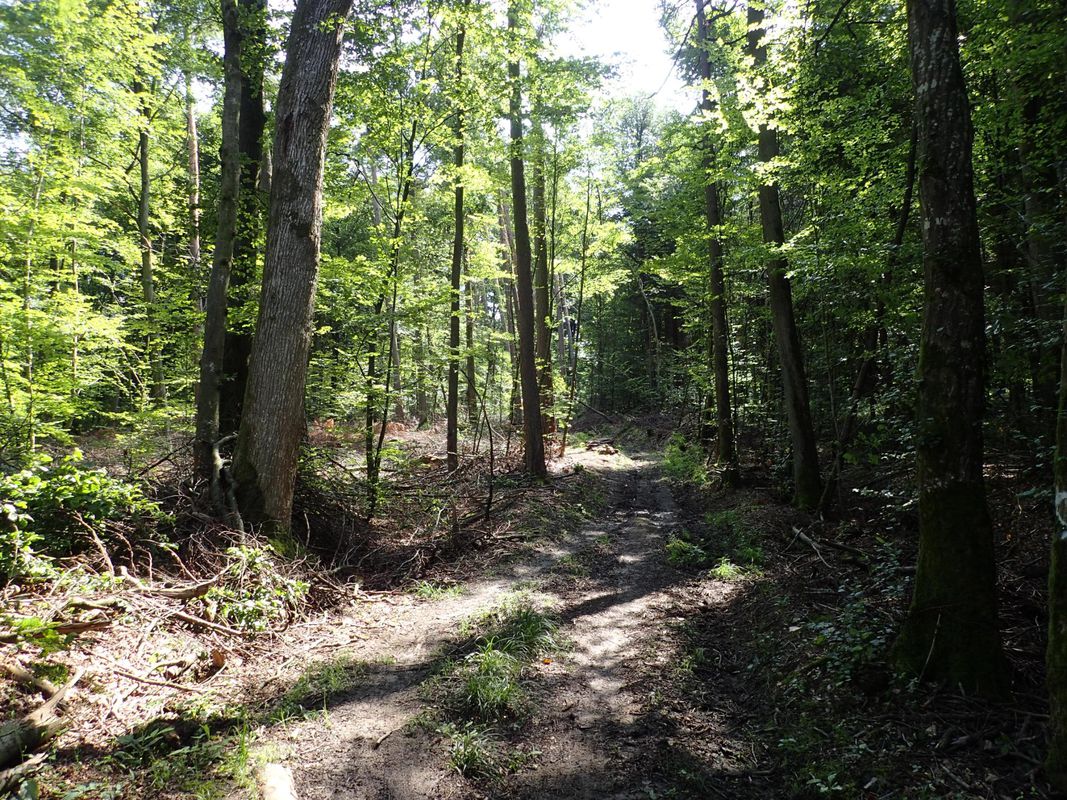 IVB2 MTB Salzweg