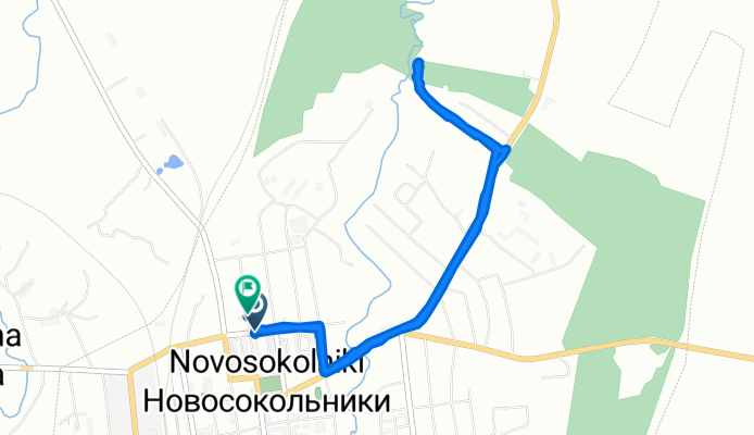 От Ленинградская улица, 18–22/67, Новосокольники до Ленинская улица, 64, Новосокольники
