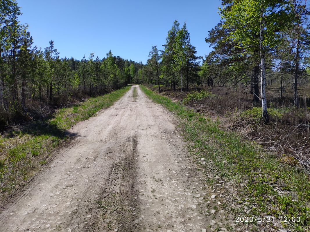 От Dzirnavu iela 113, Jūrmala до Dzirnavu iela 113, Jūrmala