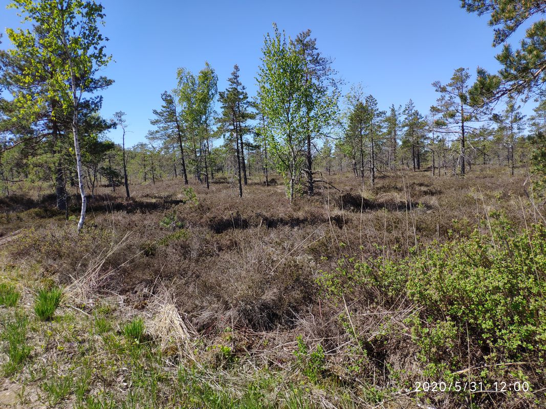 От Dzirnavu iela 113, Jūrmala до Dzirnavu iela 113, Jūrmala