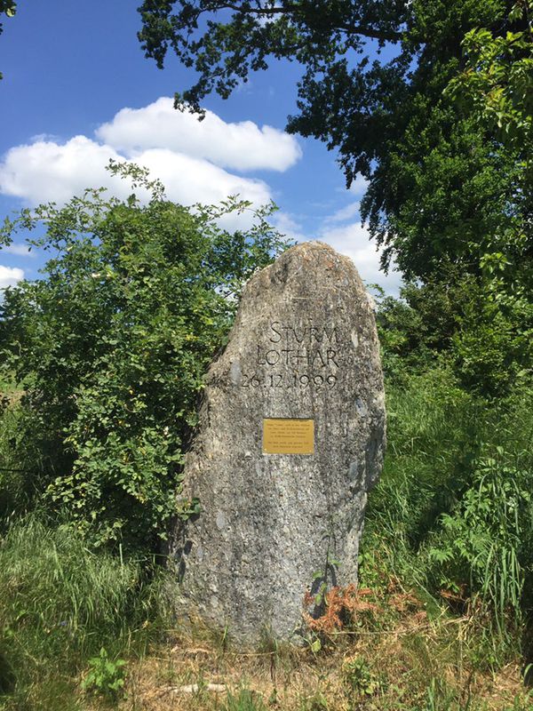 Güggel-Freimettigen-Wrach. 14km,110hm