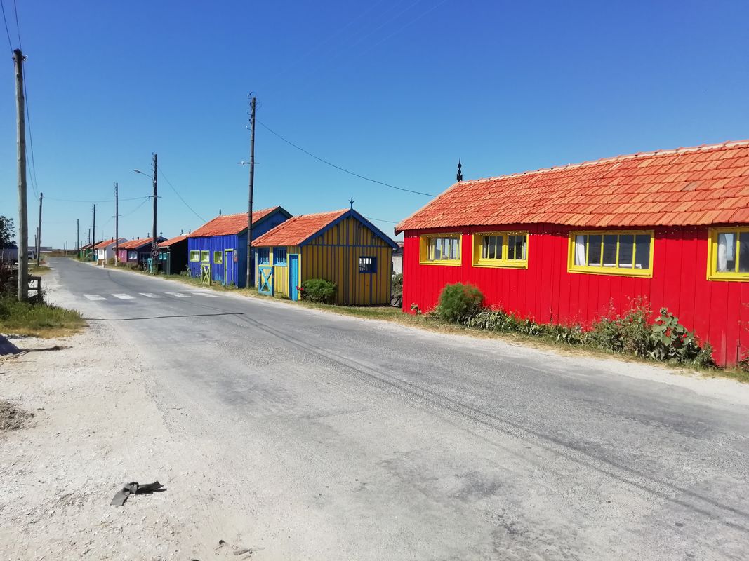 tour de l'île d'oléron, très agréable. À faire en famille