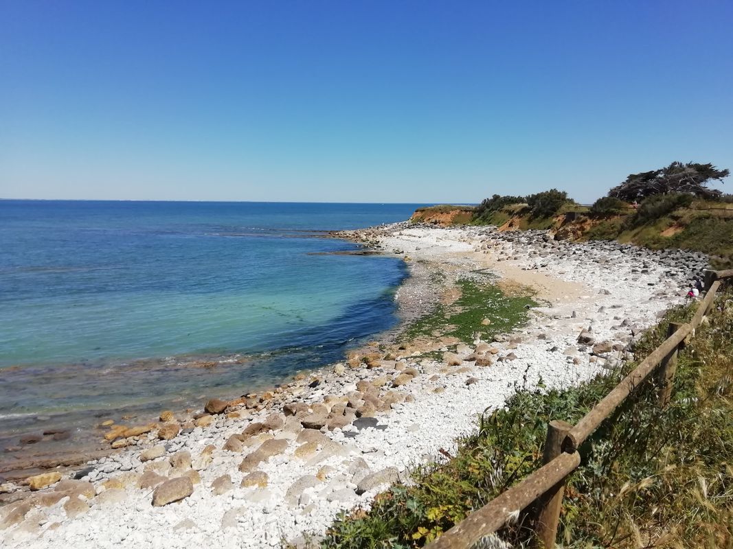 tour de l'île d'oléron, très agréable. À faire en famille