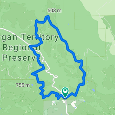 Morgan Territory Blue Oak