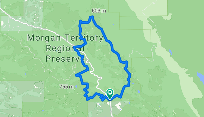 Morgan Territory Blue Oak
