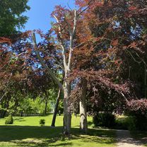 Foto 8 der Bikemap-Route "3. Etappe Jungfernfahrt"