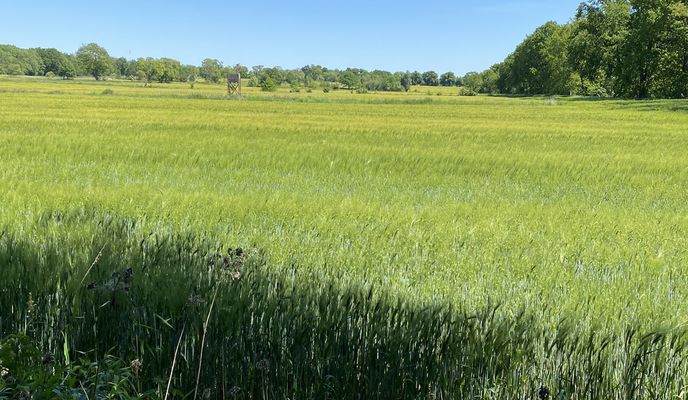 Foto 1 der Bikemap-Route "3. Etappe Jungfernfahrt"