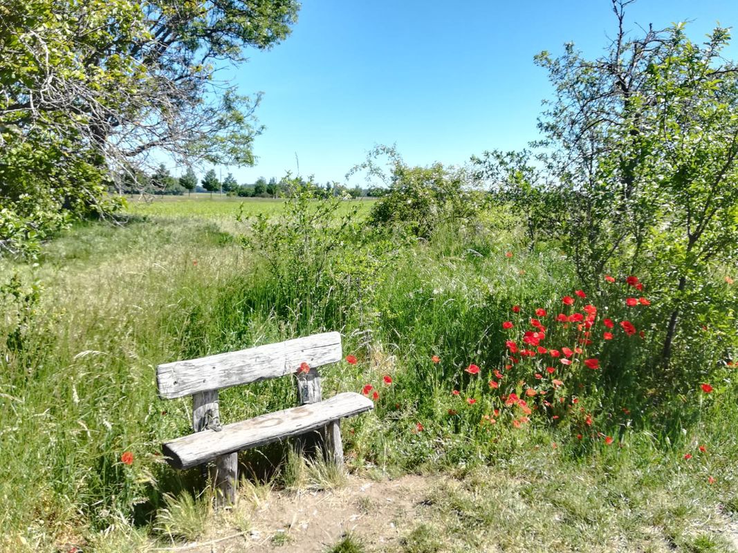 Route zum Schlabendorfer See