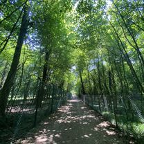 Parco di Monza