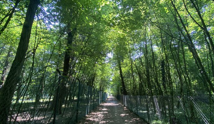 Photo 1 of the Bikemap route "Parco di Monza"