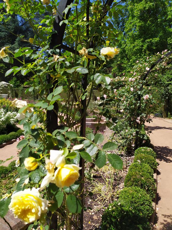 Terhulpensesteenweg 201, Watermaal-Bosvoorde to Chemin des Quatre Bras, La Hulpe