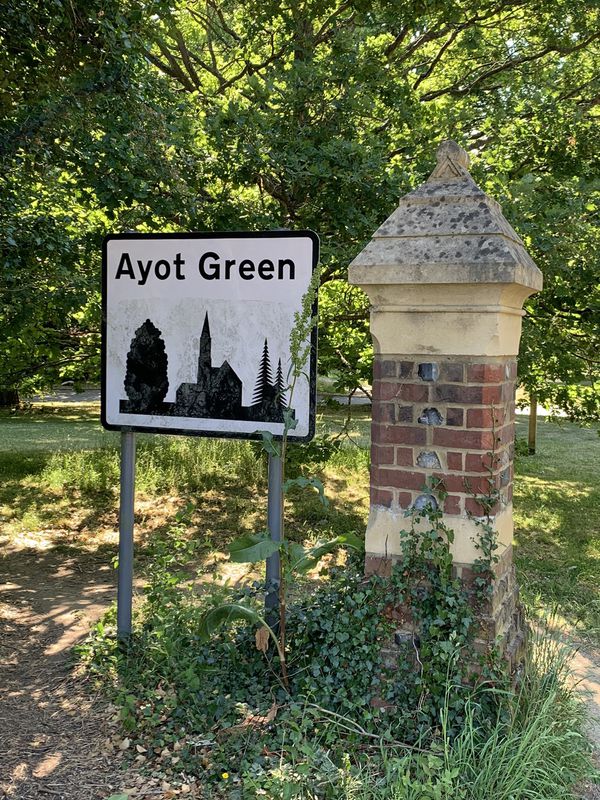 Bragbury End to Ayot Greenway, Whempstead and return.