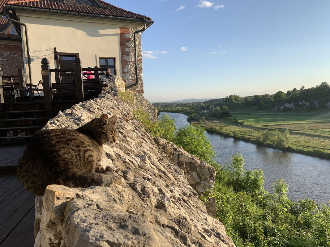 do Tyniec - Zablocie