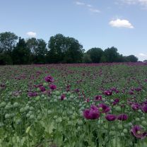 Turnwiesen 3, Sankt Florian nach Oberweidlham