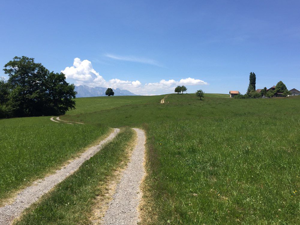 Wrach-Steffisburg-Fahrni-Bleiken-Wrach. 50km,700hm