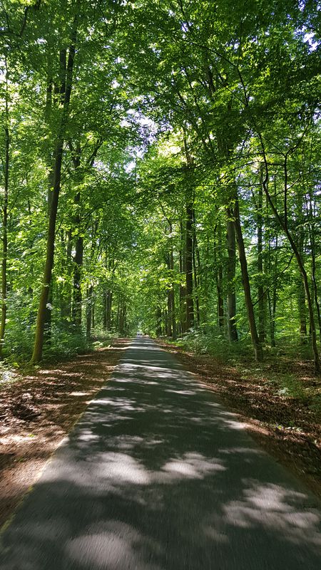 100 km Tour geschafft