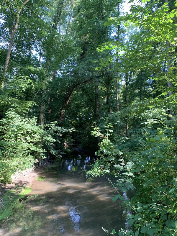 Sehr schöner Rückweg mit Christiane