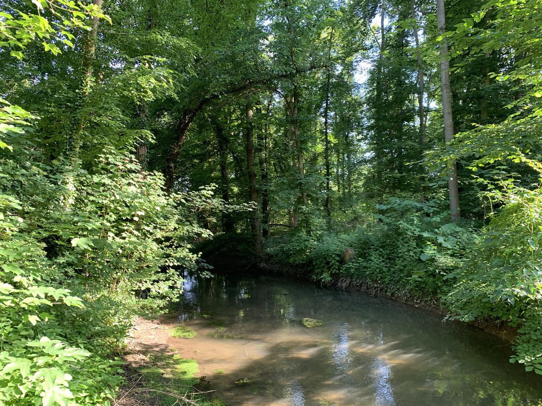 Sehr schöner Rückweg mit Christiane