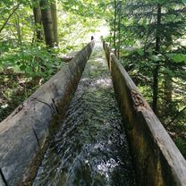 Mislinja-Plešivski mlin-Naravske ledine-Ivarčko jezero-Mislinja 03.06.2020