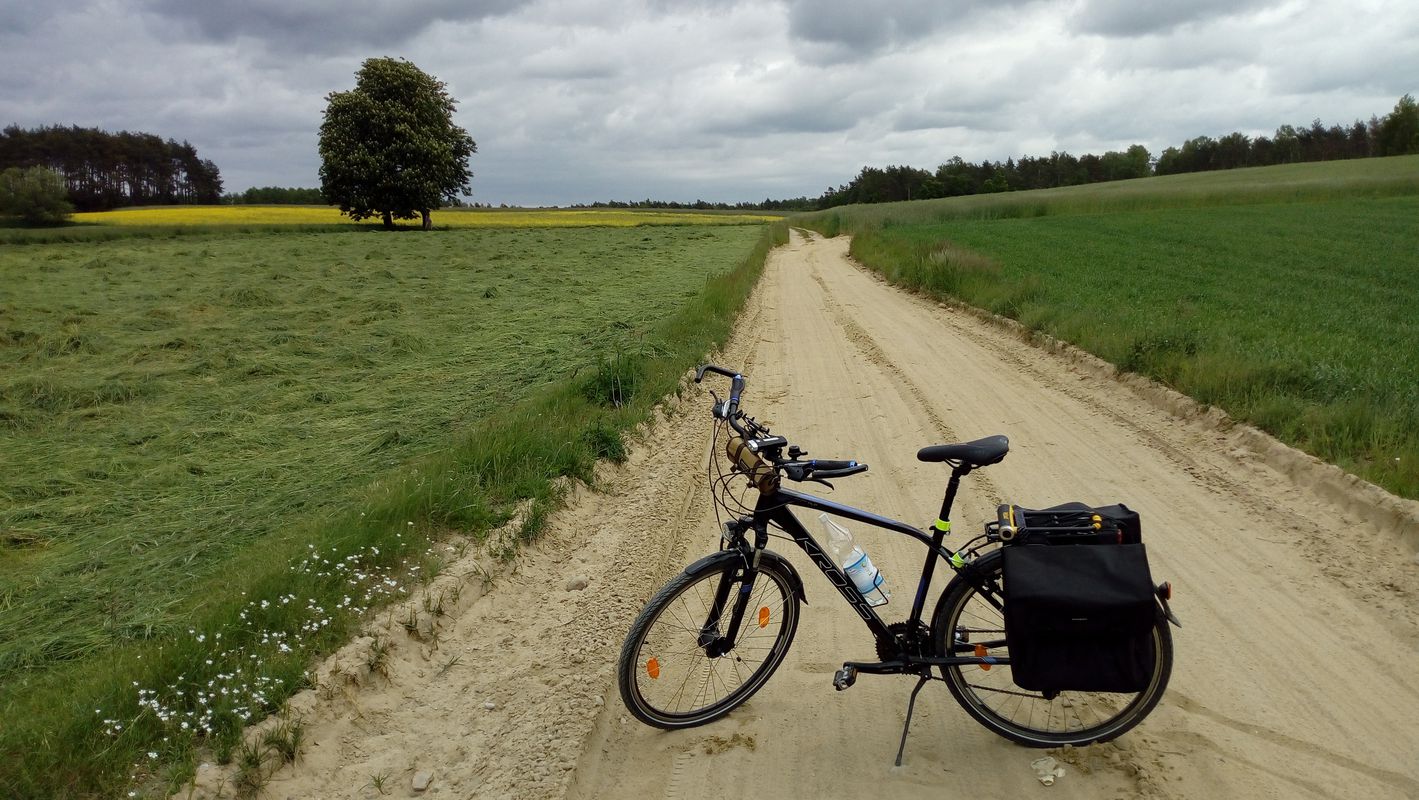 Sierpc - Czerwińsk - Zakroczym - Modlin