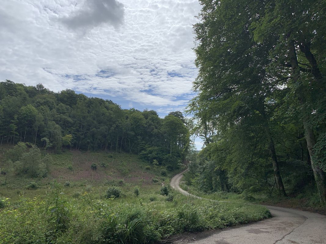 Tubbon Hill, Truro to Tubbon Hill, Truro