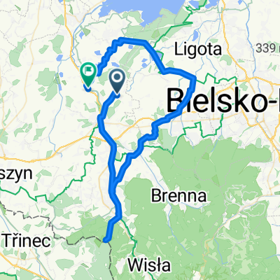 Dworska 19, Skoczów do Główna, Ochaby