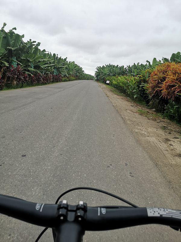 De Vía Pajonal a Carrera 2da. Este, Machala