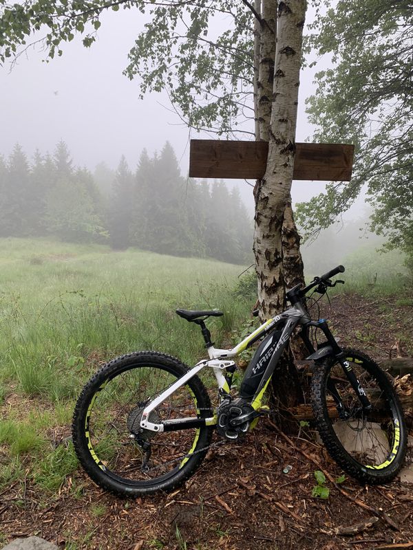 kocierz w deszczu