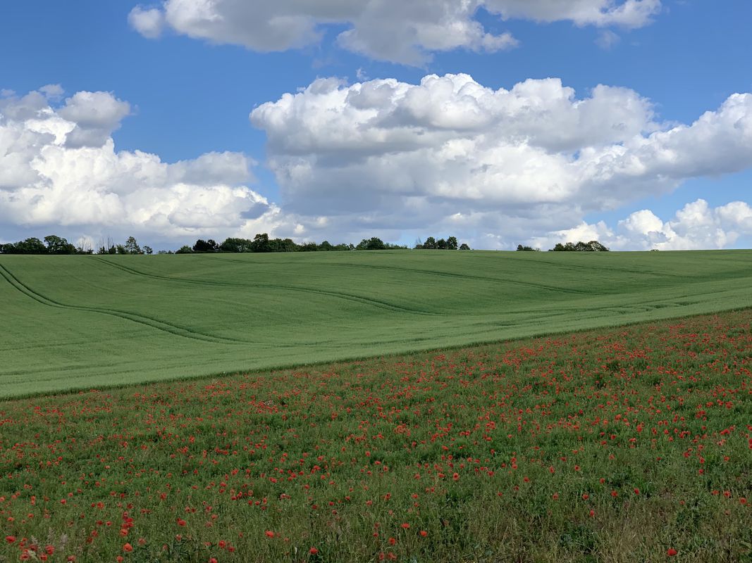 Bragbury End to Baldock circuit