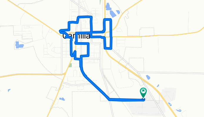 733 Flamingo Dr, Camilla to 733 Flamingo Dr, Camilla